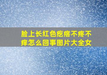 脸上长红色疙瘩不疼不痒怎么回事图片大全女