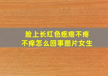 脸上长红色疙瘩不疼不痒怎么回事图片女生