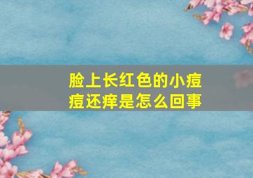 脸上长红色的小痘痘还痒是怎么回事