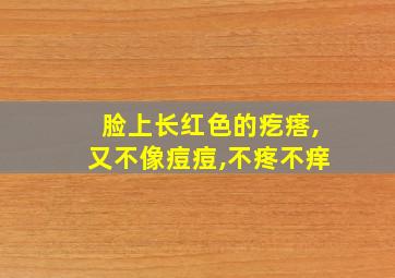 脸上长红色的疙瘩,又不像痘痘,不疼不痒