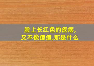 脸上长红色的疙瘩,又不像痘痘,那是什么