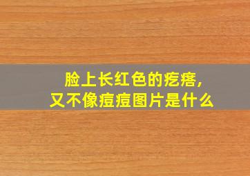 脸上长红色的疙瘩,又不像痘痘图片是什么