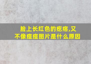 脸上长红色的疙瘩,又不像痘痘图片是什么原因