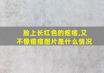 脸上长红色的疙瘩,又不像痘痘图片是什么情况