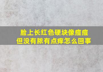 脸上长红色硬块像痘痘但没有脓有点痒怎么回事