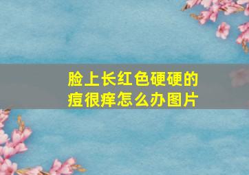 脸上长红色硬硬的痘很痒怎么办图片