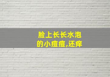 脸上长长水泡的小痘痘,还痒