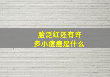 脸泛红还有许多小痘痘是什么