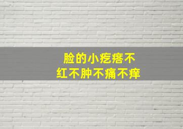 脸的小疙瘩不红不肿不痛不痒