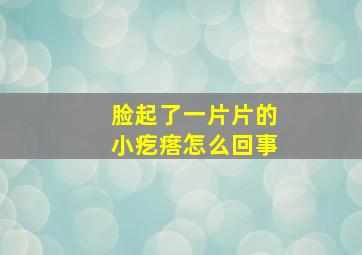 脸起了一片片的小疙瘩怎么回事