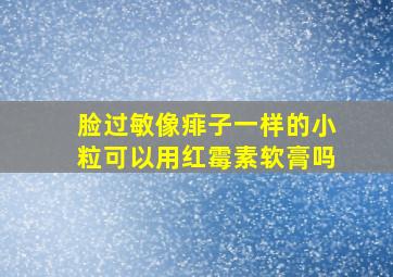 脸过敏像痱子一样的小粒可以用红霉素软膏吗