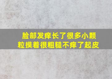 脸部发痒长了很多小颗粒摸着很粗糙不痒了起皮