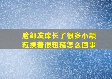 脸部发痒长了很多小颗粒摸着很粗糙怎么回事