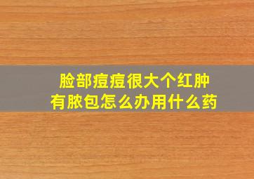 脸部痘痘很大个红肿有脓包怎么办用什么药