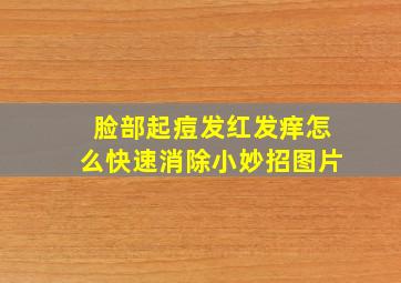 脸部起痘发红发痒怎么快速消除小妙招图片