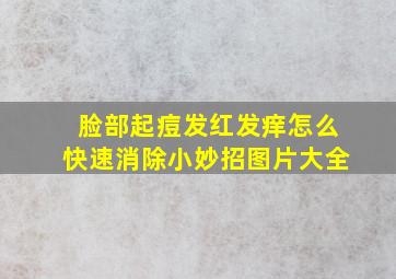 脸部起痘发红发痒怎么快速消除小妙招图片大全