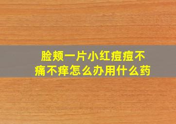 脸颊一片小红痘痘不痛不痒怎么办用什么药