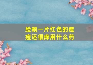 脸颊一片红色的痘痘还很痒用什么药