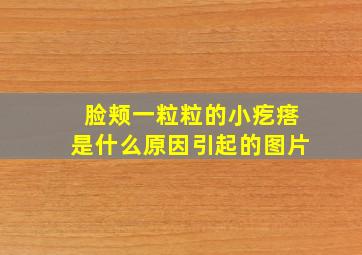 脸颊一粒粒的小疙瘩是什么原因引起的图片