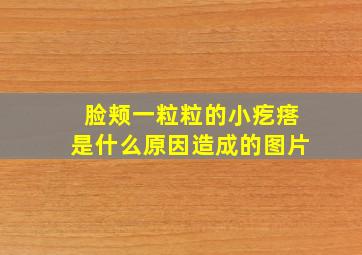 脸颊一粒粒的小疙瘩是什么原因造成的图片