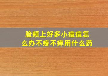 脸颊上好多小痘痘怎么办不疼不痒用什么药