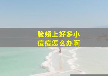 脸颊上好多小痘痘怎么办啊