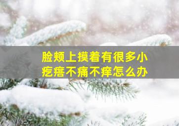 脸颊上摸着有很多小疙瘩不痛不痒怎么办