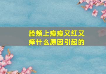 脸颊上痘痘又红又痒什么原因引起的