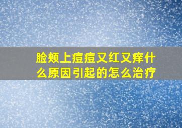 脸颊上痘痘又红又痒什么原因引起的怎么治疗