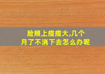 脸颊上痘痘大,几个月了不消下去怎么办呢