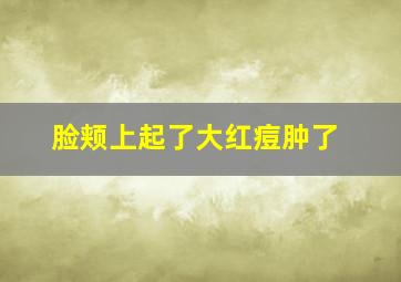 脸颊上起了大红痘肿了