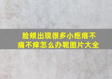 脸颊出现很多小疙瘩不痛不痒怎么办呢图片大全