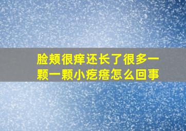 脸颊很痒还长了很多一颗一颗小疙瘩怎么回事