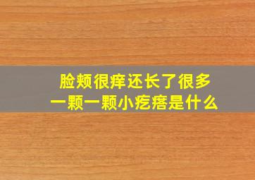 脸颊很痒还长了很多一颗一颗小疙瘩是什么