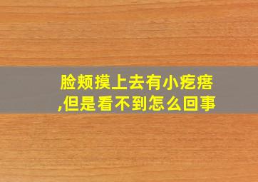 脸颊摸上去有小疙瘩,但是看不到怎么回事