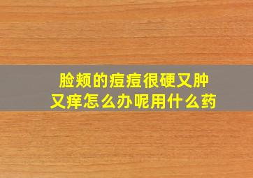 脸颊的痘痘很硬又肿又痒怎么办呢用什么药