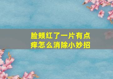 脸颊红了一片有点痒怎么消除小妙招