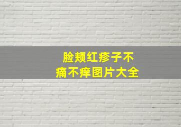 脸颊红疹子不痛不痒图片大全