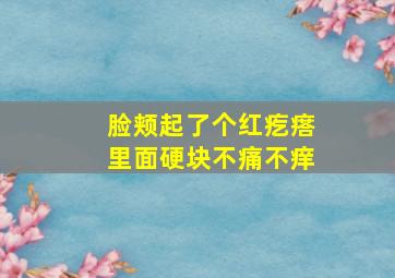 脸颊起了个红疙瘩里面硬块不痛不痒