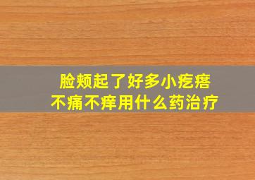 脸颊起了好多小疙瘩不痛不痒用什么药治疗