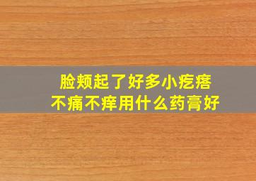 脸颊起了好多小疙瘩不痛不痒用什么药膏好