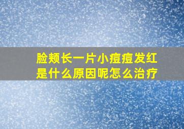 脸颊长一片小痘痘发红是什么原因呢怎么治疗