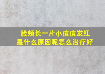 脸颊长一片小痘痘发红是什么原因呢怎么治疗好