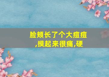 脸颊长了个大痘痘,摸起来很痛,硬