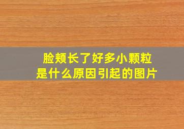 脸颊长了好多小颗粒是什么原因引起的图片