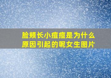 脸颊长小痘痘是为什么原因引起的呢女生图片