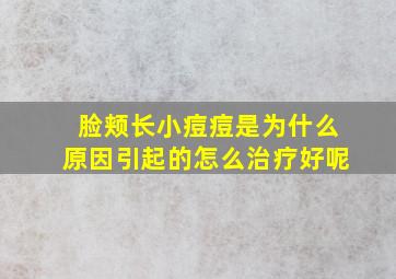 脸颊长小痘痘是为什么原因引起的怎么治疗好呢