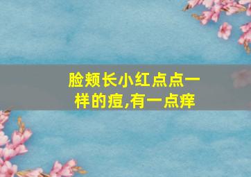 脸颊长小红点点一样的痘,有一点痒