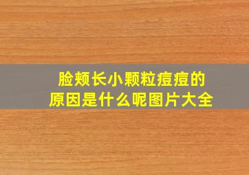 脸颊长小颗粒痘痘的原因是什么呢图片大全