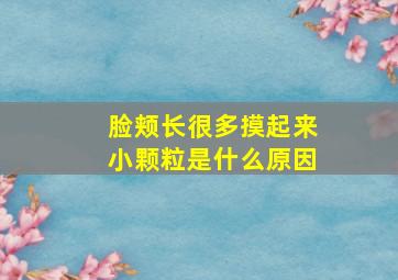 脸颊长很多摸起来小颗粒是什么原因